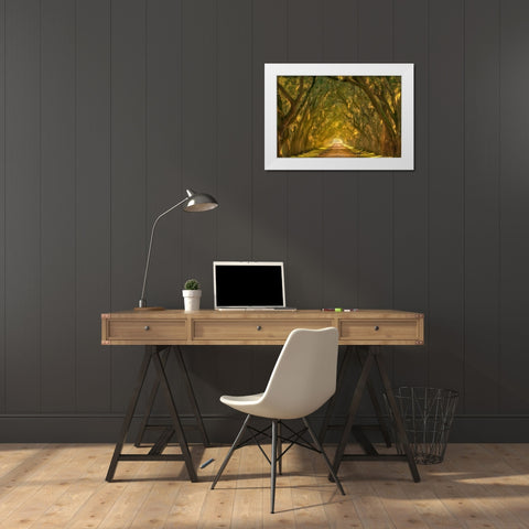 Illumination Alley White Modern Wood Framed Art Print by Moore, Chris