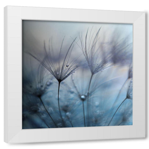 Teardrops White Modern Wood Framed Art Print by Irthum, Mathieu