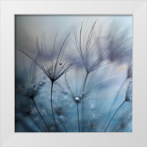 Teardrops White Modern Wood Framed Art Print by Irthum, Mathieu