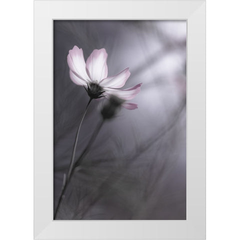 Cosmos White Modern Wood Framed Art Print by HIDEBON