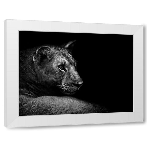 Lion White Modern Wood Framed Art Print by Wildphotoart