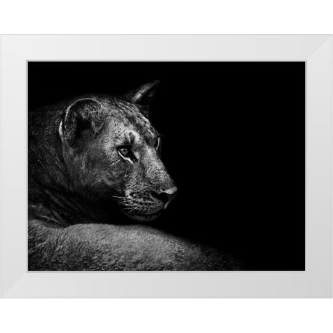 Lion White Modern Wood Framed Art Print by Wildphotoart