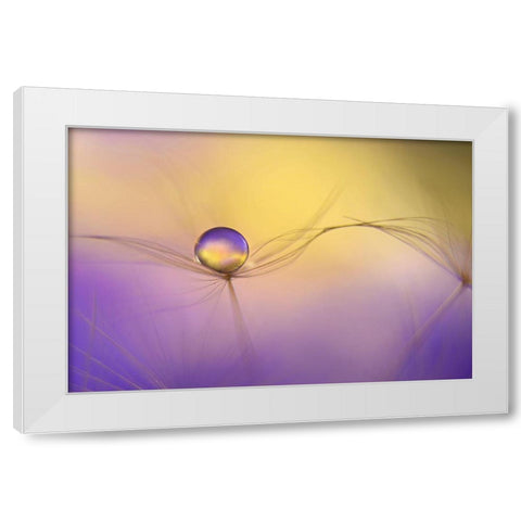 In Arms White Modern Wood Framed Art Print by Westum, Heidi