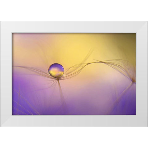 In Arms White Modern Wood Framed Art Print by Westum, Heidi