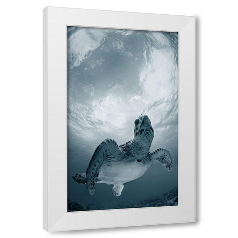 Elegy White Modern Wood Framed Art Print by Narchuk, Andrey