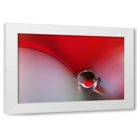 Between White Modern Wood Framed Art Print by Westum, Heidi