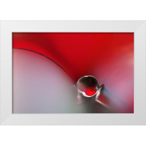 Between White Modern Wood Framed Art Print by Westum, Heidi