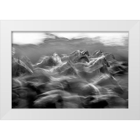 Dir White Modern Wood Framed Art Print by Malovrh, Milan