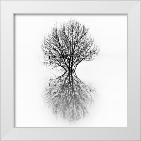 Diluvium White Modern Wood Framed Art Print by Abrantes, Paulo