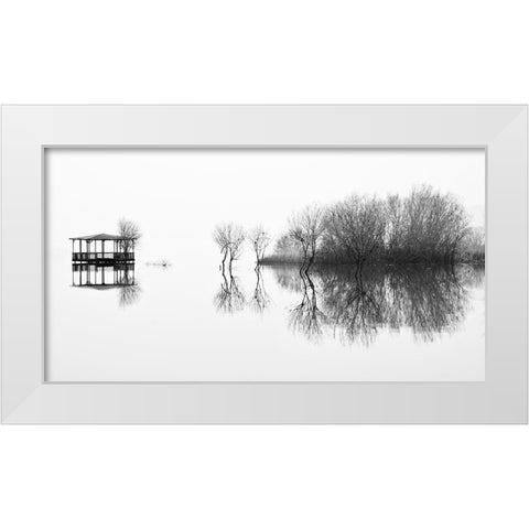 Changes White Modern Wood Framed Art Print by Abrantes, Paulo
