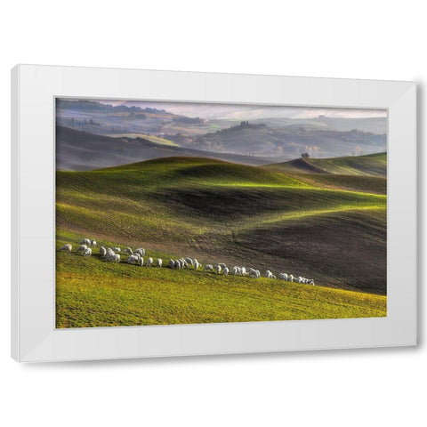 Pastoral White Modern Wood Framed Art Print by Lipinski C, Roman