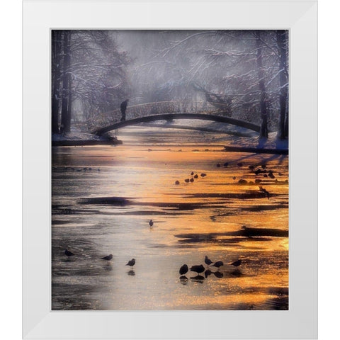 Frozen Lake White Modern Wood Framed Art Print by Andreescu, Cristian