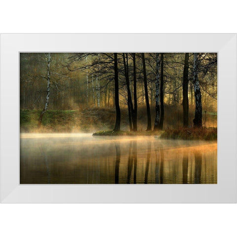 Silent Light. White Modern Wood Framed Art Print by Jankowska, Agnieszka