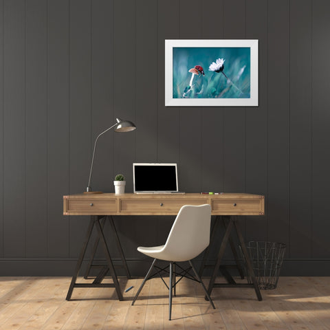 The Story Of The Lady Bug That Tries To Convice The Mushroom To Have A Date With The Beautiful Daisy White Modern Wood Framed Art Print by Bravin, Fabien