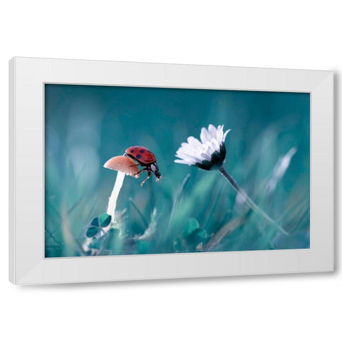 The Story Of The Lady Bug That Tries To Convice The Mushroom To Have A Date With The Beautiful Daisy White Modern Wood Framed Art Print by Bravin, Fabien