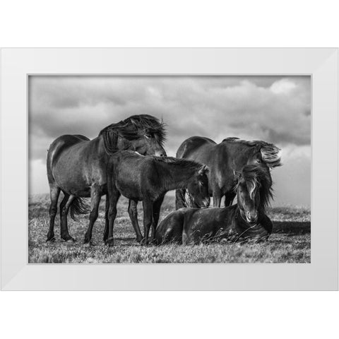 Happy Family White Modern Wood Framed Art Print by Ingibergsson, Bragi