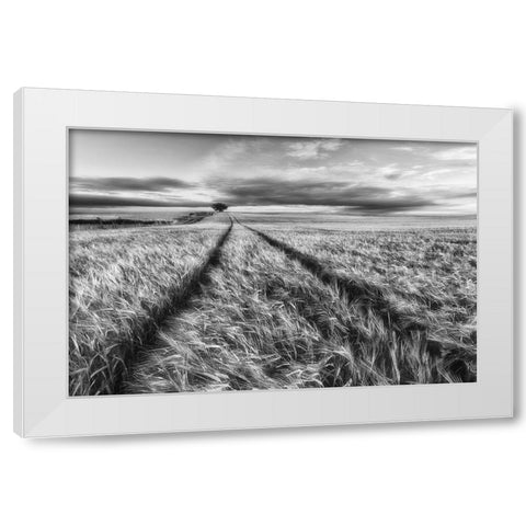 Countryside White Modern Wood Framed Art Print by Krol, Piotr