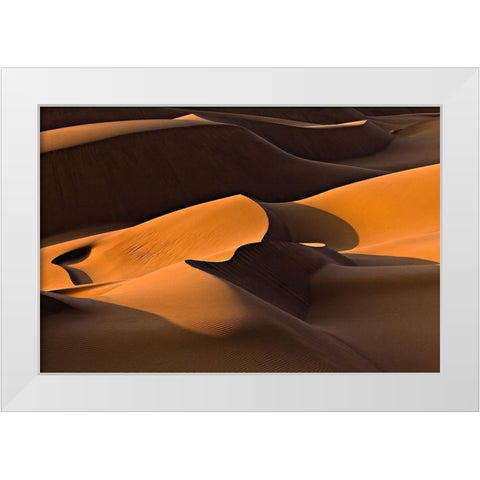 Morning Light White Modern Wood Framed Art Print by Momeni, Mohammadreza