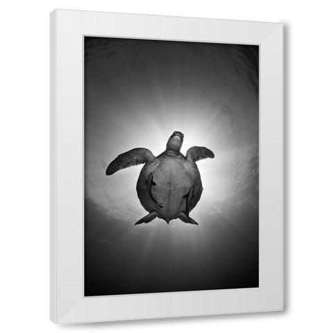 Sun White Modern Wood Framed Art Print by Narchuk, Andrey