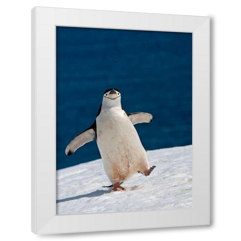 Life Is Good White Modern Wood Framed Art Print by Kokinskiy, Sergey