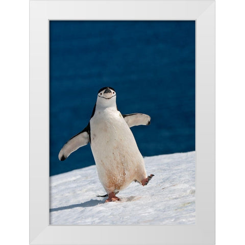 Life Is Good White Modern Wood Framed Art Print by Kokinskiy, Sergey