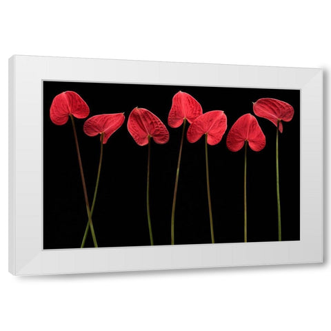 Botanical Hearts White Modern Wood Framed Art Print by Barbu, Floriana