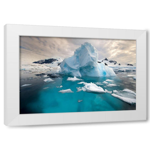 The Roots White Modern Wood Framed Art Print by Kokinskiy, Sergey