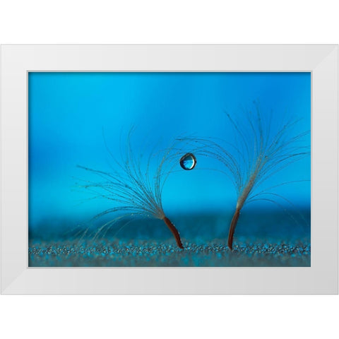 Keep The Balance White Modern Wood Framed Art Print by Westum, Heidi