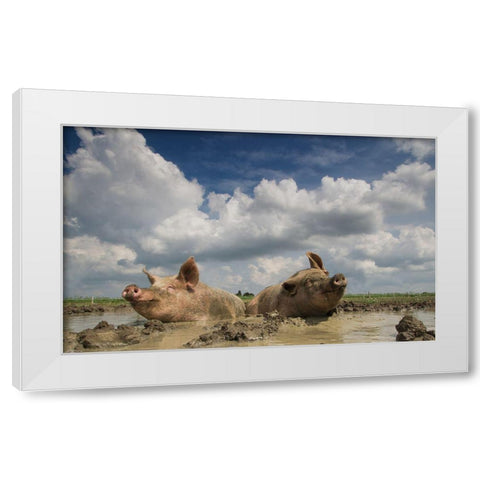 Mudpool Fun White Modern Wood Framed Art Print by Van Den, Gert