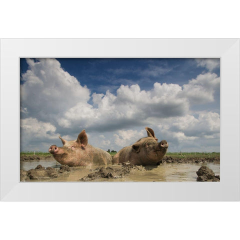 Mudpool Fun White Modern Wood Framed Art Print by Van Den, Gert