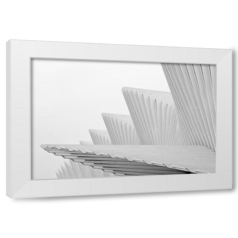 Fly White Modern Wood Framed Art Print by Della Latta, Massimo