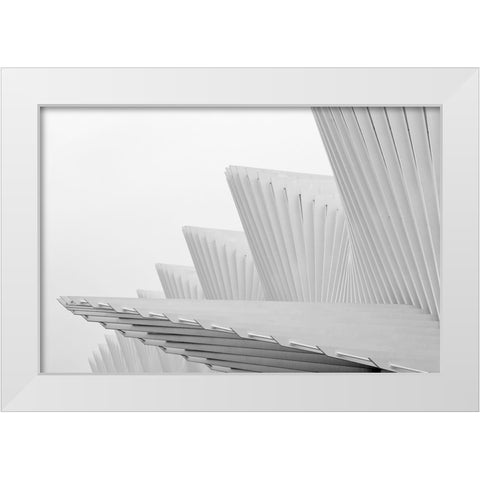 Fly White Modern Wood Framed Art Print by Della Latta, Massimo