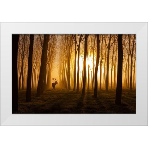 Once Upon A Time White Modern Wood Framed Art Print by Miron, Stefan