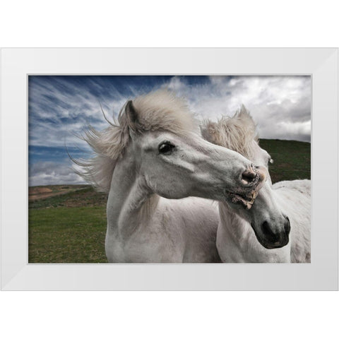 Playtime White Modern Wood Framed Art Print by Ingibergsson, Bragi