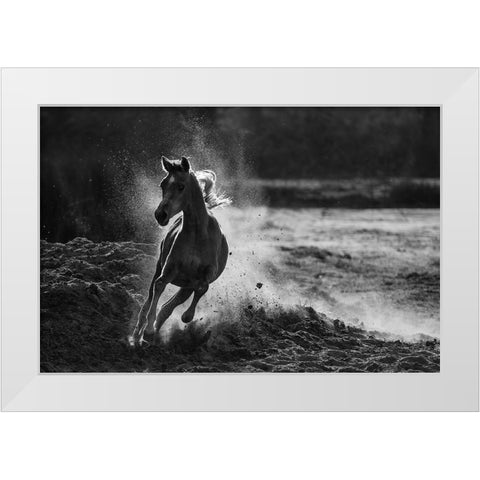 Take Off White Modern Wood Framed Art Print by Alnaser, Mohammed