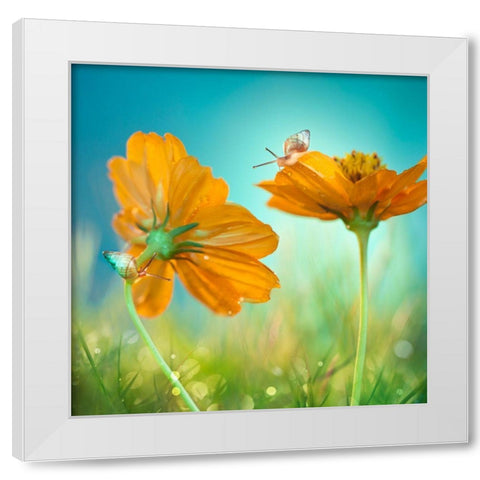 Play Time! White Modern Wood Framed Art Print by Lee, Peiling
