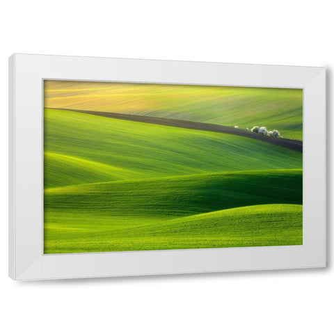 Spring Time... White Modern Wood Framed Art Print by Browko, Krzysztof
