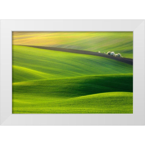 Spring Time... White Modern Wood Framed Art Print by Browko, Krzysztof