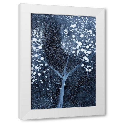 Winter Blossom White Modern Wood Framed Art Print by Xu, Mei