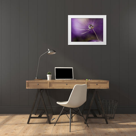 In Shades Of Purple White Modern Wood Framed Art Print by Westum, Heidi