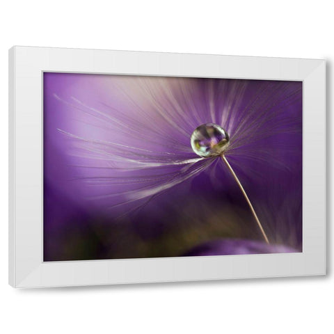 In Shades Of Purple White Modern Wood Framed Art Print by Westum, Heidi