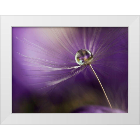 In Shades Of Purple White Modern Wood Framed Art Print by Westum, Heidi