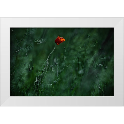 Blow Me Away... White Modern Wood Framed Art Print by Neer, Ildiko