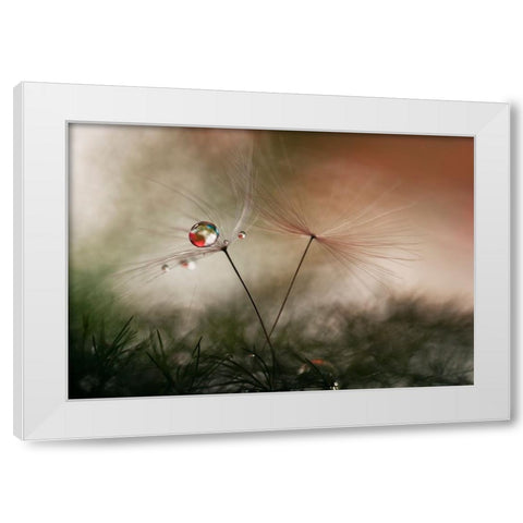 With And Without White Modern Wood Framed Art Print by Westum, Heidi