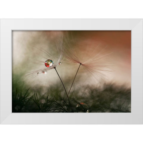 With And Without White Modern Wood Framed Art Print by Westum, Heidi