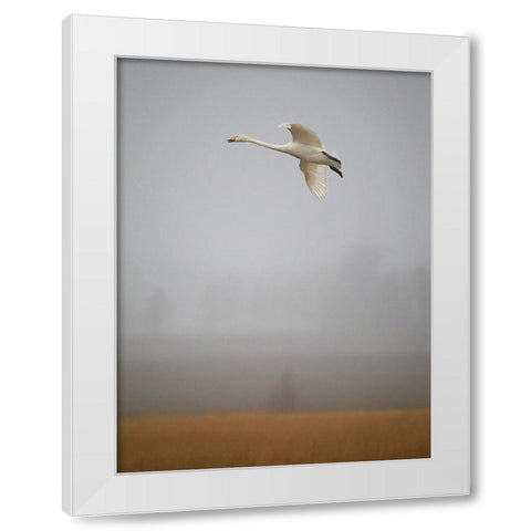 Out Of The Mist White Modern Wood Framed Art Print by Sahlen, Jan