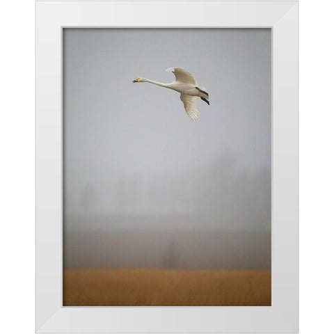 Out Of The Mist White Modern Wood Framed Art Print by Sahlen, Jan