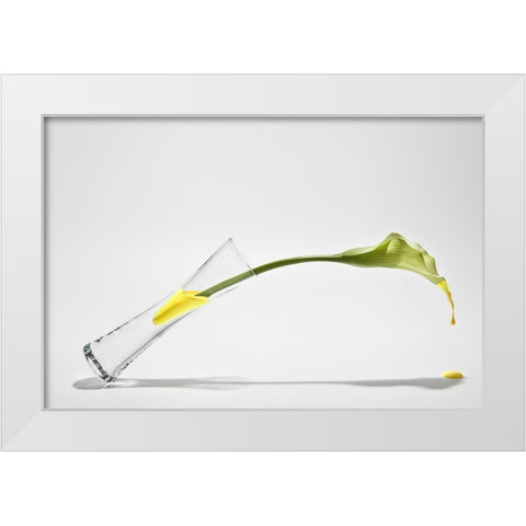 Calla White Modern Wood Framed Art Print by Pabst, Christian