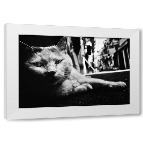 Cat White Modern Wood Framed Art Print by Suzuki, Tatsuo