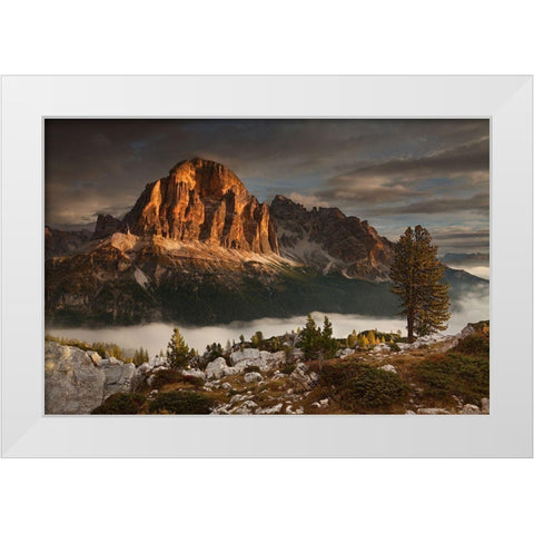 Tofana De Rozes White Modern Wood Framed Art Print by Rericha, Daniel